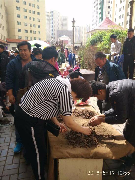被疯炒的冬虫夏草：含片比黄金贵4倍，学鸿茅药酒砸10亿广告-南京医药公司收购冬虫夏草