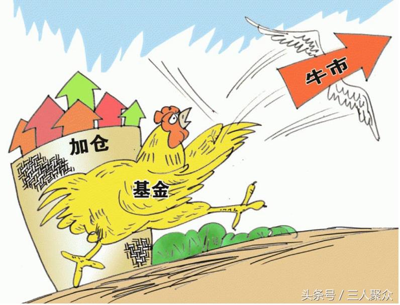 什么是股票型基金？股票型基金有什么特点？-什么叫股票型基金