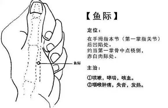 【推荐】腧穴学鱼际穴上海支正信息科技有限公司