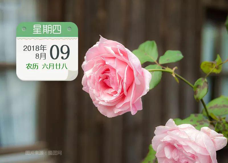 宝鸡新闻速读：193个项目、增长9.5%、景区闭园……-宝鸡广电网络传媒有限公司