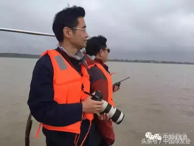 「表彰」三年不懈寻证白鱀豚，我们有一个详细的名单要致敬！-铜陵华元融资租赁有限公司