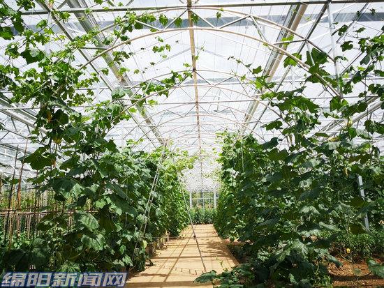 【推荐】道德银行走红昭觉雄鹰基金