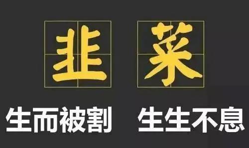 「头条」这些外汇套路，就资金盘-盛宝银行外汇的爆仓比列是多少