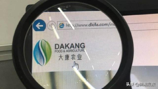 大康农业董事长高调回应造假风波，近30亿再融资计划前路未卜-大康牧场多少钱可买入
