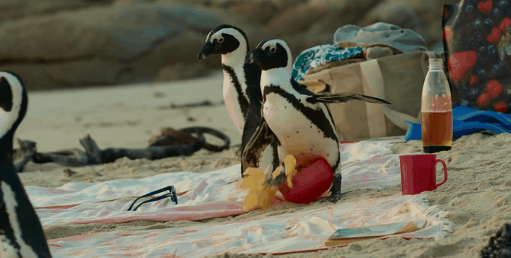 “上层名流”侵占小岛40年，本地居民不反抗，还给他们特权？-江苏名流石化有限公司