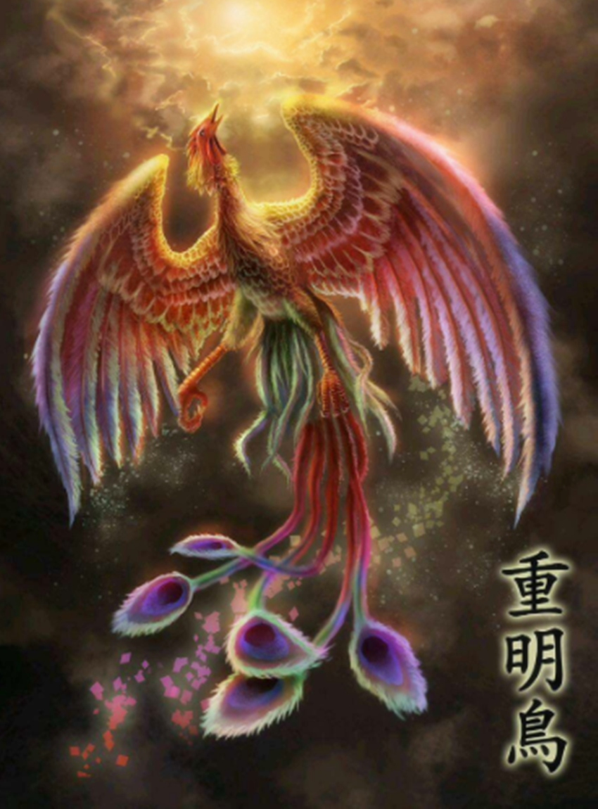 【推荐】中国上古神鸟：比凤凰地位高，舜就是它的化身，而且还是双瞳-仙鸡价格多少