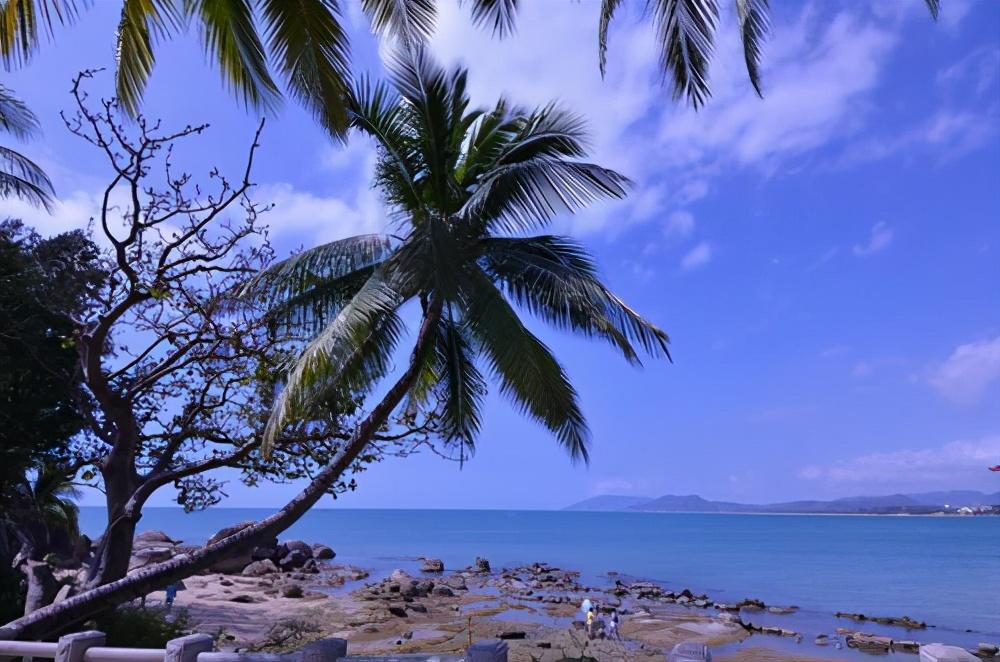 「策略内参」：机构连续加仓，明日10大火爆妖股领衔大涨-股票资讯集结号查询网站