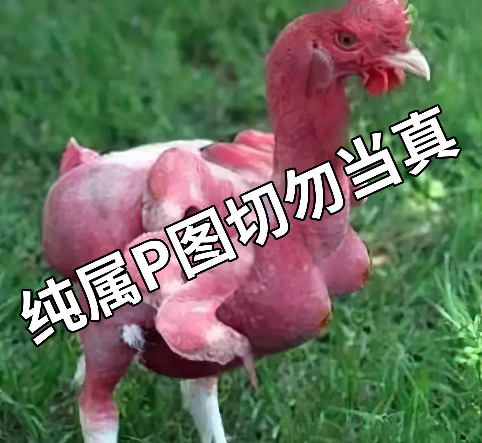 用抗生素催肥肉鸡，给肉牛喂疯牛病牛骨，美国食品行业有多黑？-美国大型食品公司