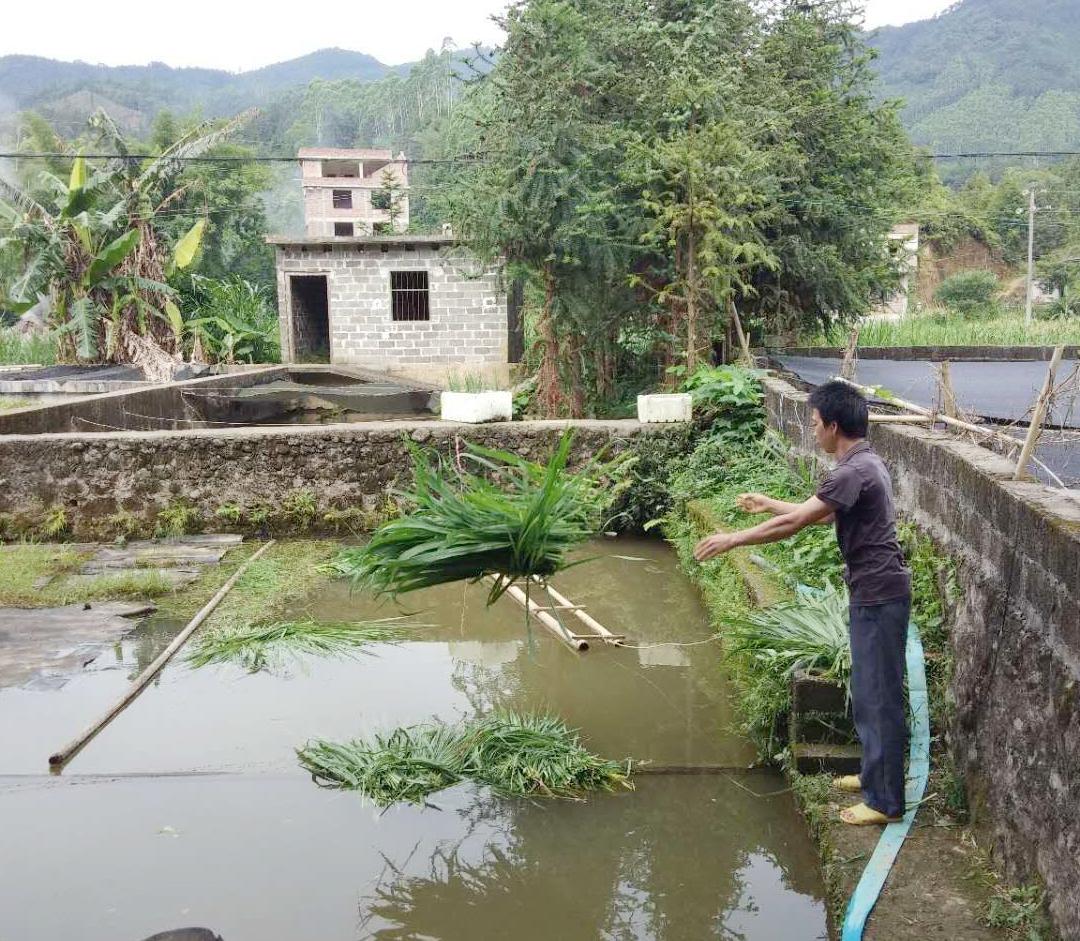 “输血”更“造血”兴业银行构建产业扶贫长效机制-陆家嘴年产值多少