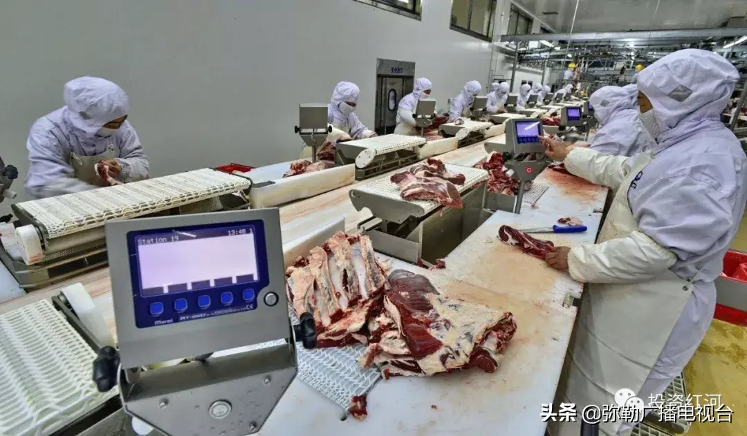 弥勒市食品加工类项目，招商-开三七专卖店投资多少