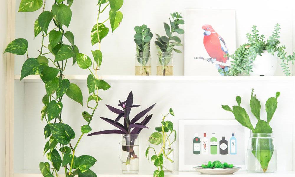 「早报」滴滴内部调整期权的行权价格｜周鸿祎谈网络战-滴滴期权多少钱一股