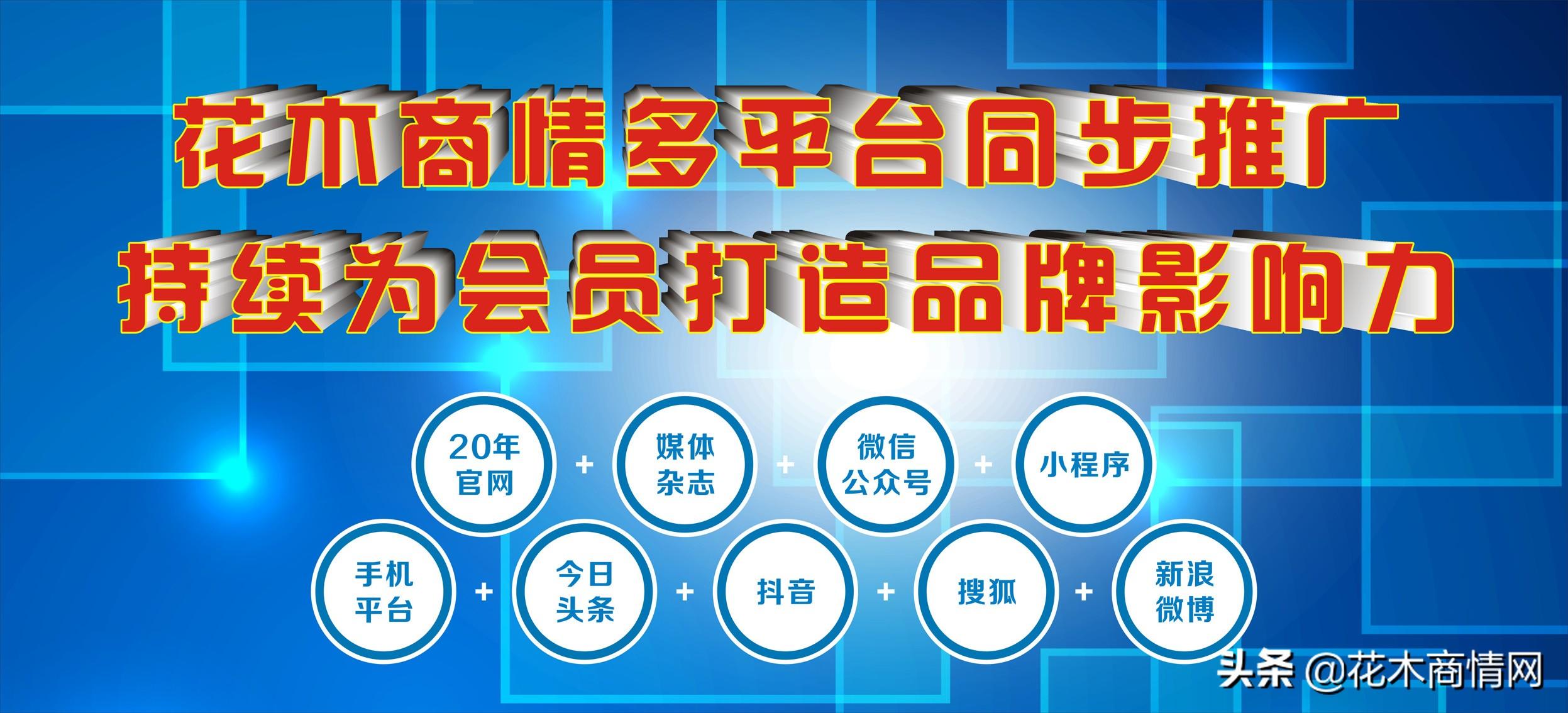 6月广西各地区园林绿化招标（南宁防城合浦北海贺州玉林等）-北京东翰教育科技有限公司