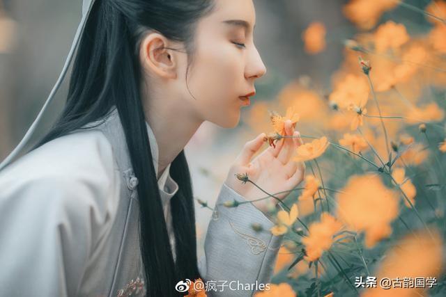 《常用字平仄分类》，喜欢写诗词的朋友值得收藏-上海寅稞电子科技有限公司