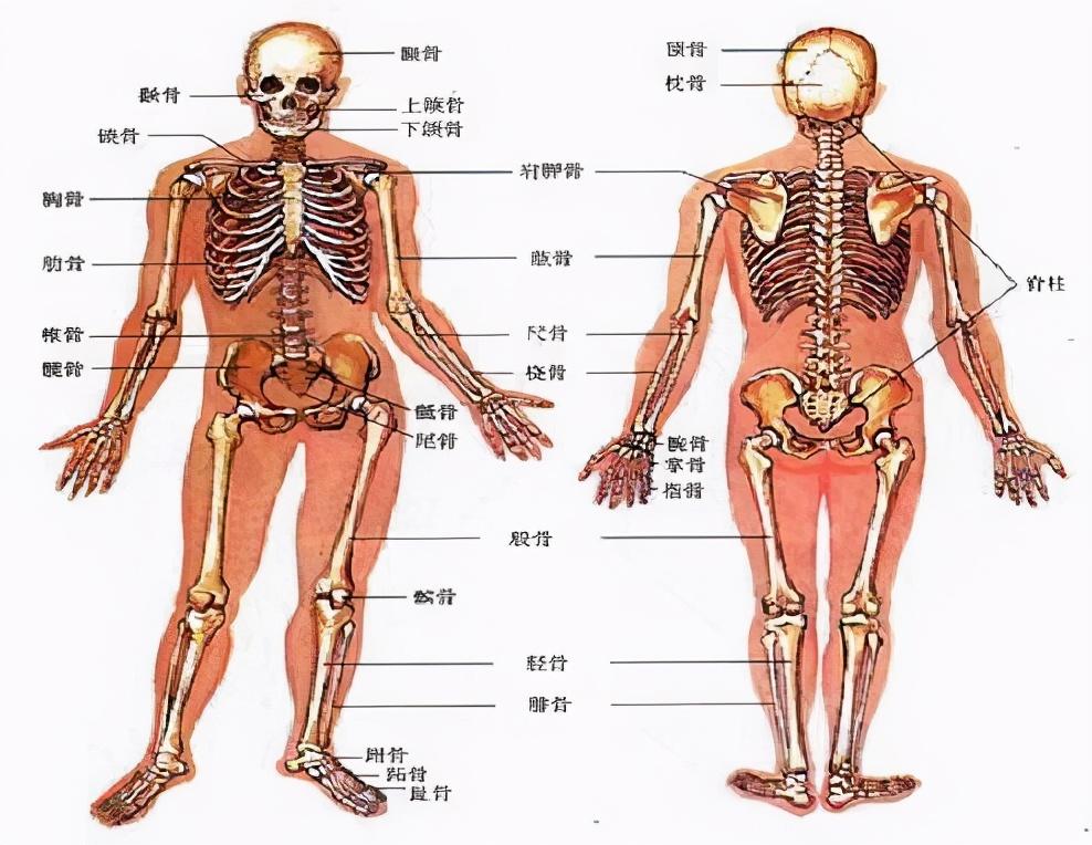 关于吸脂你最担心的在这里-填充自己的脂肪7天抽脂哪个位置没有平