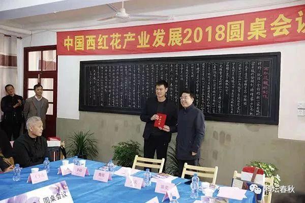 崇明西红花有望成为上海科创“财富花”-上海崇明53亩地价值多少