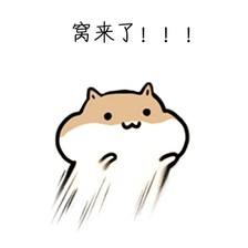 如果买1万块钱短债基金，每天收益有1块吗？-债务型基金