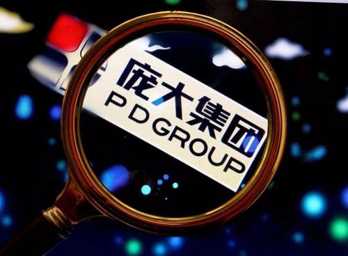 汽车流通巨头突然倒下：庞大申请破产-庞大集团大连分公司