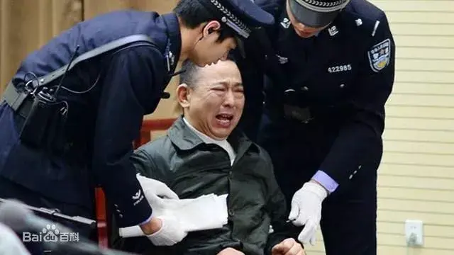 【推荐】刘汉、刘维等36人特大黑社会性质组织犯罪案审判工作纪实-刘汉判了多少年