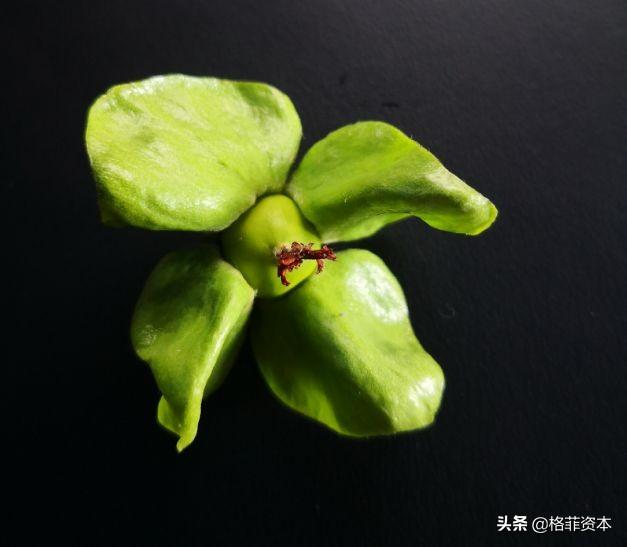 【推荐】中国平安为什么要投资“汇丰”？-汇丰基金会计