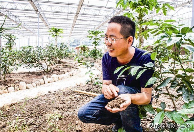 如果你有1000万，你会投资农业吗？而且还是种橘子？-橙子种植需要多少投资