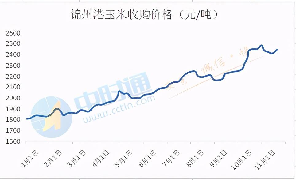 11月17日锦州港详情（含港口及贸易商报价详情！）-锦州港股票历史最低价是多少