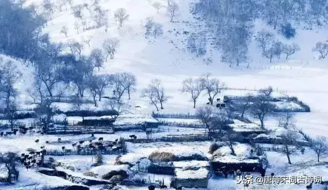 大雪时节，36首咏雪古诗词带你欣赏绝美之至-游唐多少薪