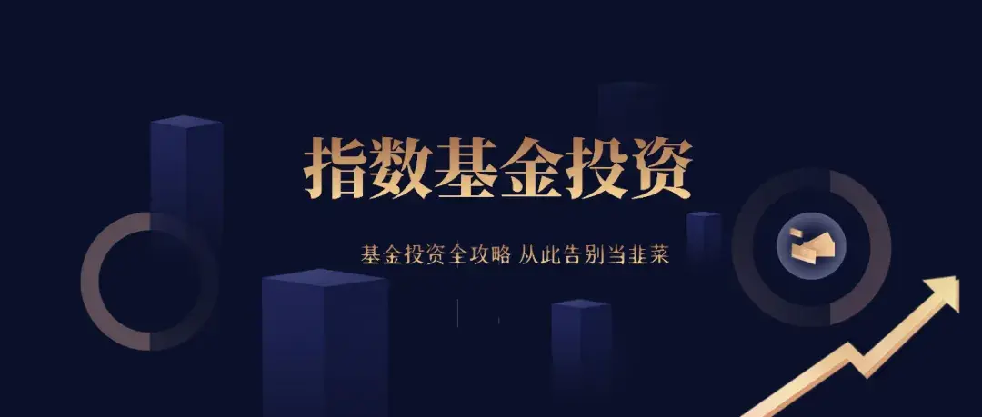 《指数基金投资从入门到精通》：基金投资全攻略，从此告别当韭菜-怎样炒基金