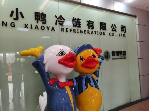 30年·与济南高新区共成长小鸭集团：依托高新生态酝酿再飞冲天-小鸭集团是上市公司