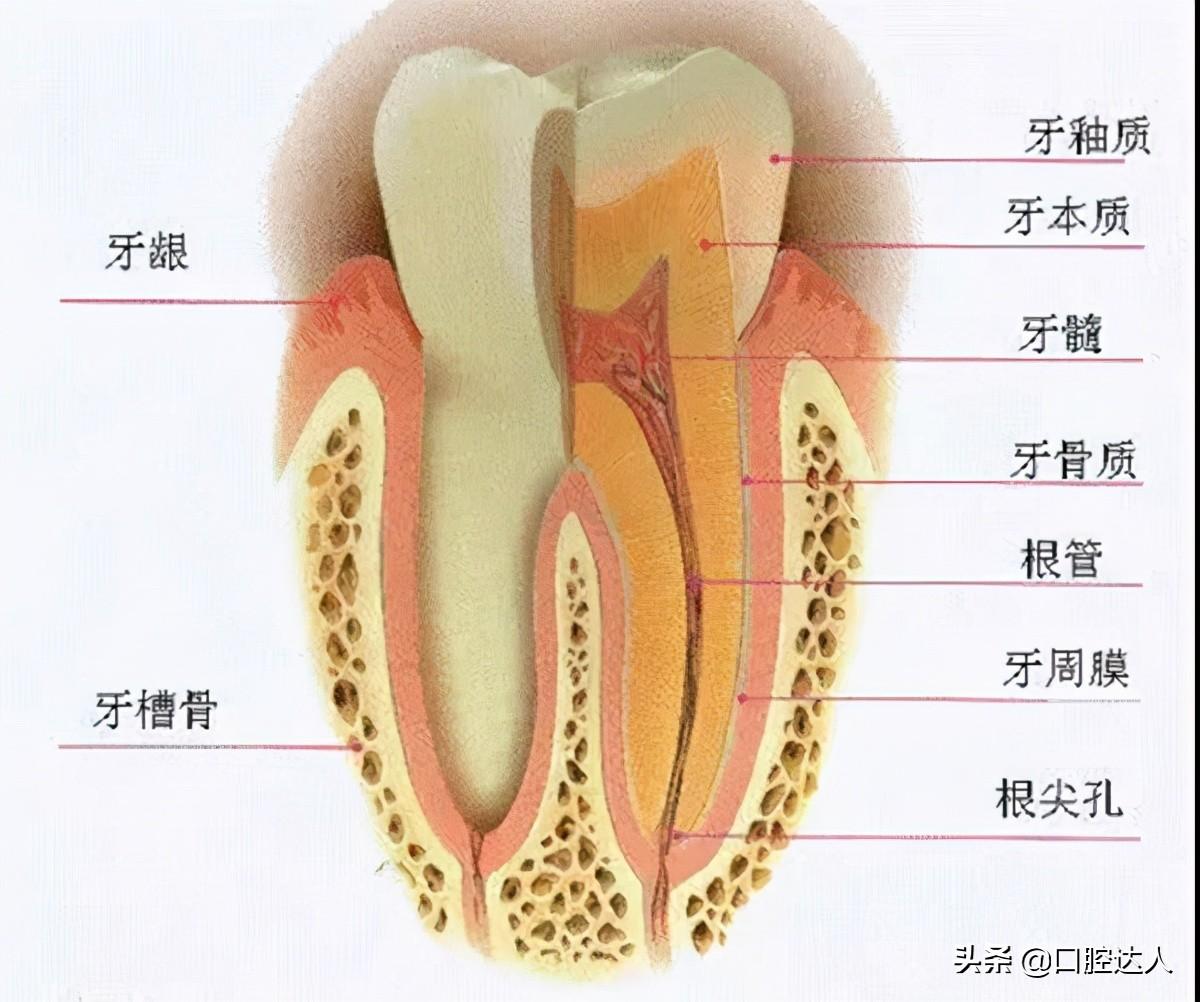 牙齿矫正后就万事大吉了吗？那你就错了