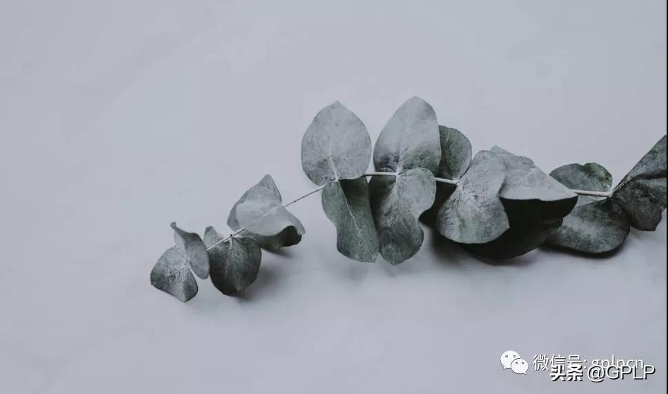 “疯狂的石头”惹出巨额债务东方金钰易主中国蓝田遭质询-蓝田公司2001年财务报表