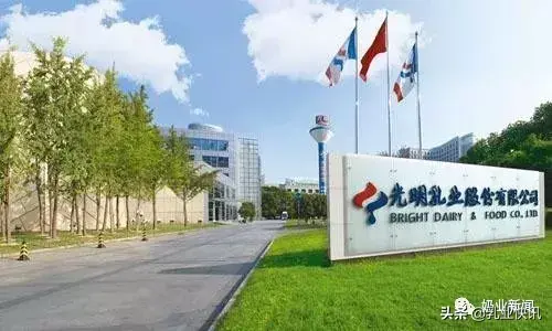 【推荐】光明乳业出事！年报数据漏洞被查，上交所要求给出解释！-上海鼎健饲料有限公司