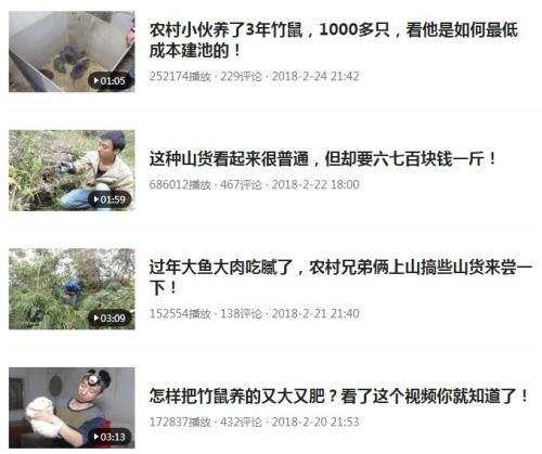 爆红后的华农兄弟：国庆有100多人来看竹鼠-大华农能涨到多少