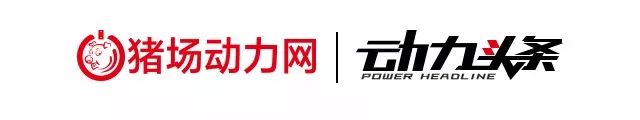北京今日猪肉“暴涨”，肋排88元每公斤，代理商：开学+中秋+国庆还会涨-屠宰场的猪肉多少钱