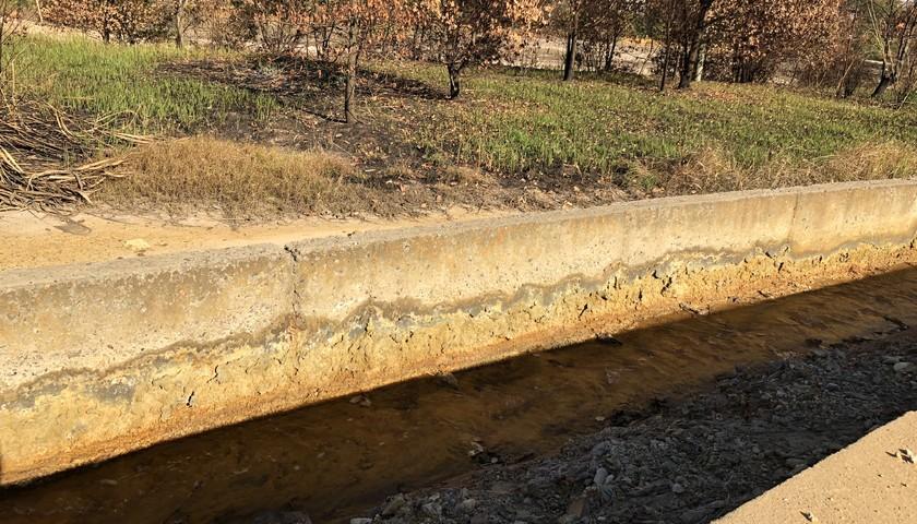 「追踪」九江“镉大米”这一年：3000万元治污费与未了局-上海长江轮船公司张路