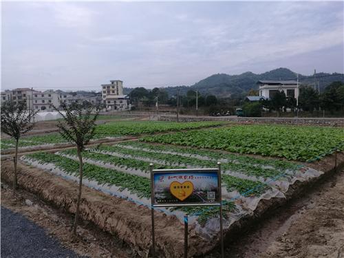 安源：百年矿区脱贫路-江西安源光伏玻璃有限责任公司