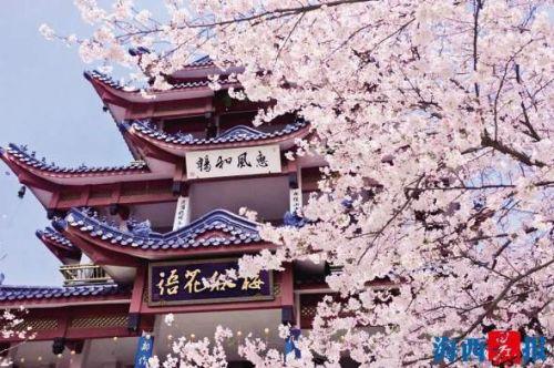 “三八节”短途游人气高踏青养生旅游最受女性欢迎-伊犁昌泰实业有限公司