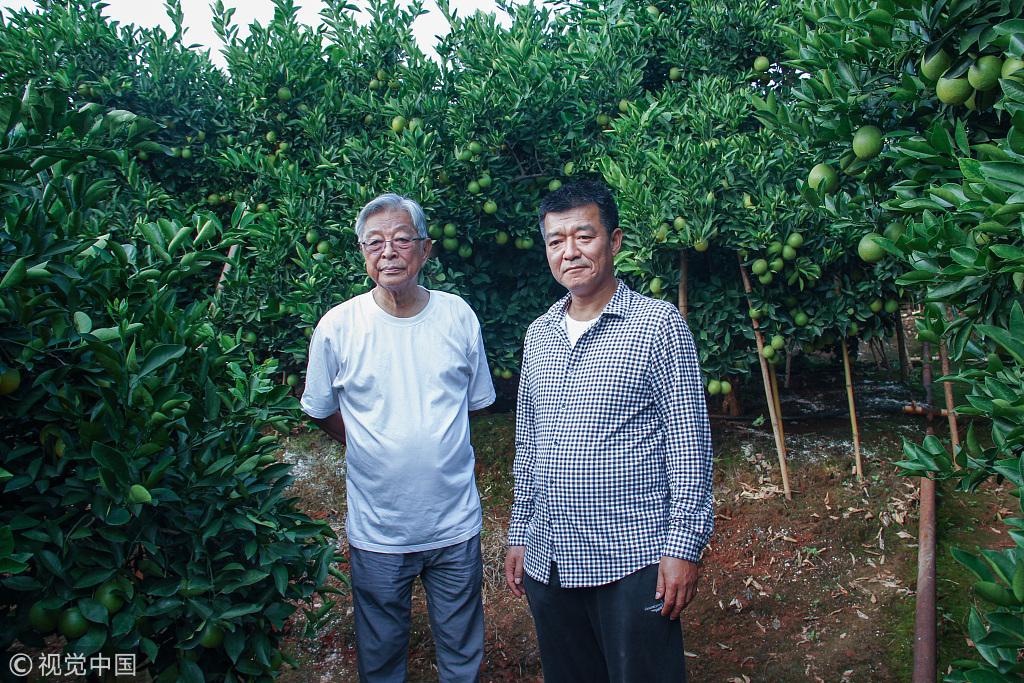 褚时健父子的40年：从对抗、和解到子承父业-广东泰盈利实业有限公司