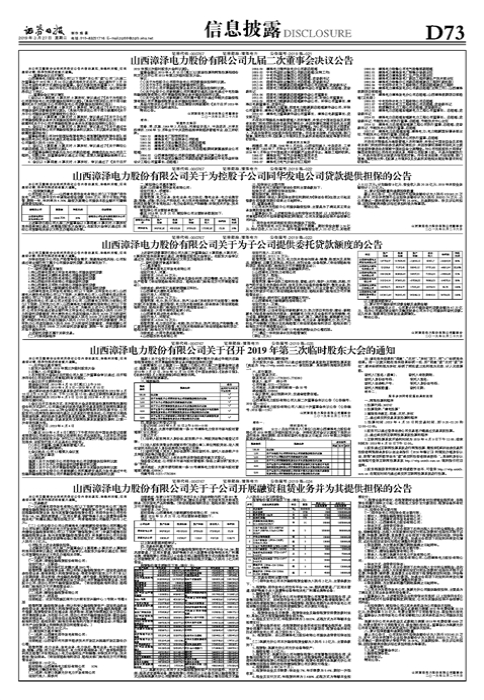 山西漳泽电力股份有限公司九届二次董事会决议公告-漳泽电力公司董事长文