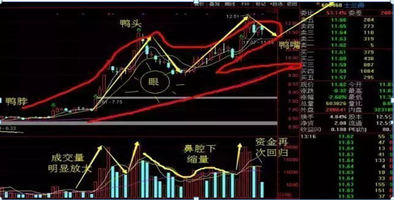 如果不想继续穷下去的，务必牢记“老鸭头”形态的股票，大胆介入，后市行情或可直线飙升-老鸭头涨幅有多少