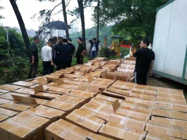 茶陵公安查货查货6000多条假烟，三嫌疑人被抓获-芙蓉王硬盒多少钱