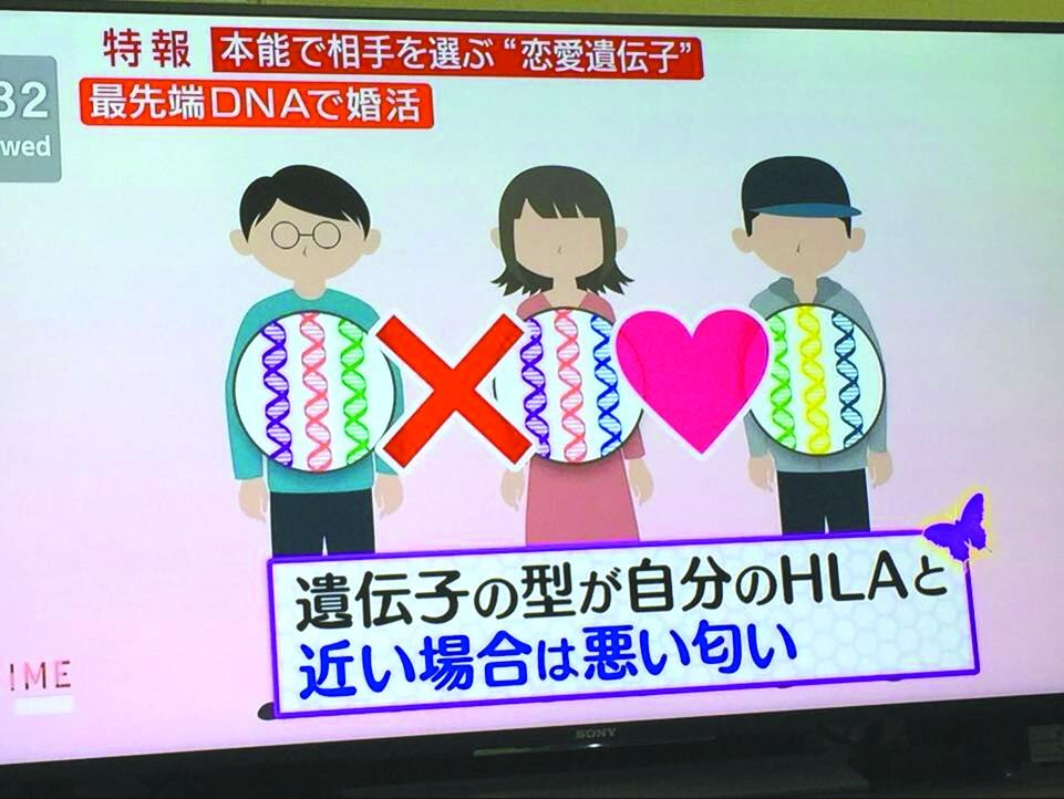 日本人通过DNA寻找另一半-8万日元等于多少人民币