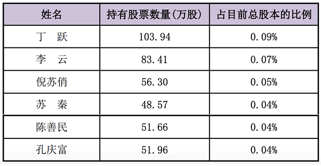 【推荐】华联控股组建新一届经营班子丁跃连任董事长-浙江华联杭州湾创业有限公司