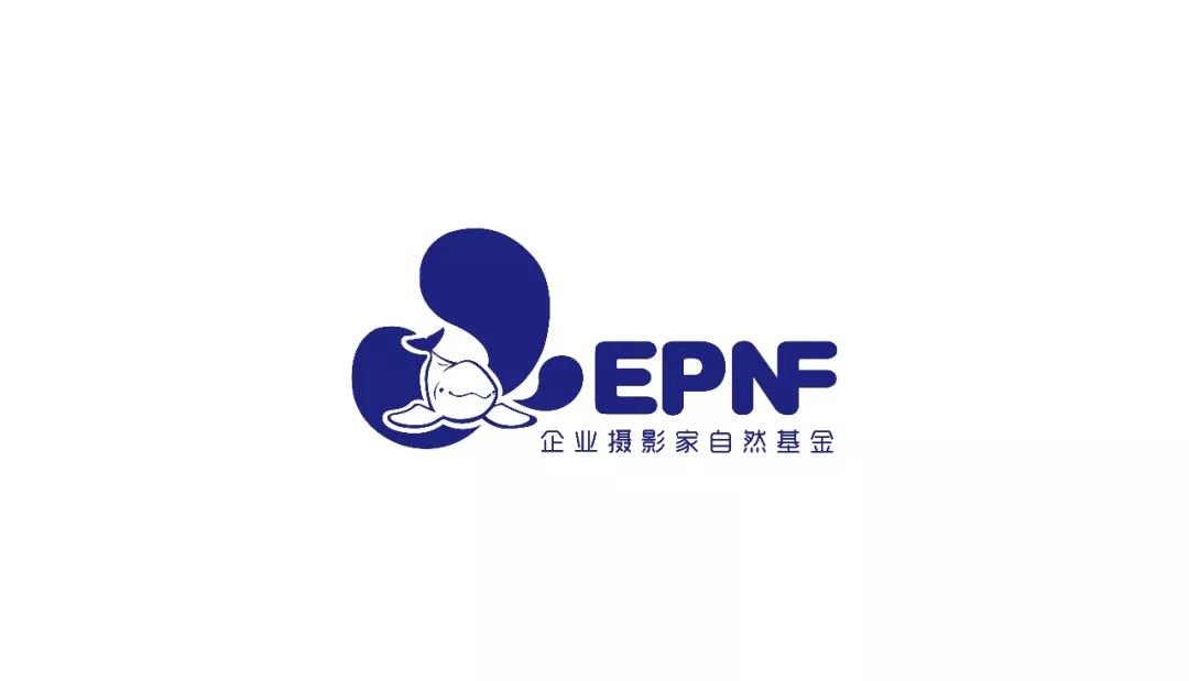 「通知」EPNFLOGO全新升级啦-基金logo