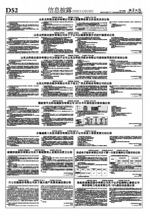山东太阳纸业股份有限公司关于子公司以融资租赁方式进行融资的公告-太阳宏河纸业项目总投资多少亿元