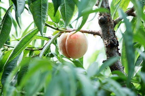 【推荐】量身定制金融服务为实体经济引来活水无锡正信传媒有限公司