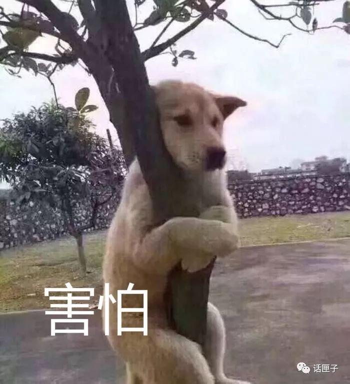9公斤砖块从天而降，市中心小区外墙脱落砸人砸车为祸十年！悬在城市上空的“痛”怎么治？-嘉汇基金.