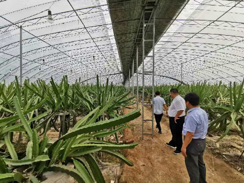【推荐】南果北种亩效益八万获当地政府大力支持南果北种投资需要多少