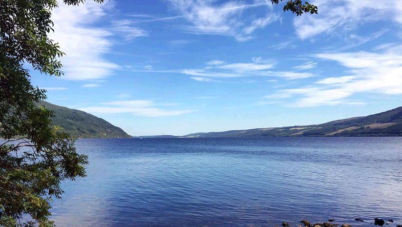 《极度深寒》中的超级怪兽，真的存在么？-极度深寒亏了多少