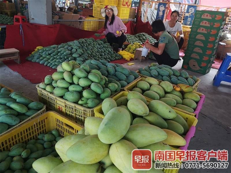 【推荐】4年来170余万人脱贫！广西左右江革命老区GDP增速高于全区-广西2015年第三季GDp是多少