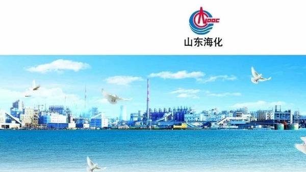 【推荐】「鲁企股市汇」山东海化背靠大树难乘凉中海油山东海化集团热电公司